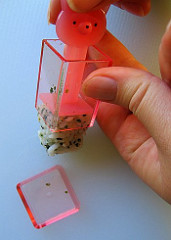 Rice cube press