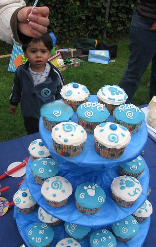 Birthday cupcakes & birthday boy