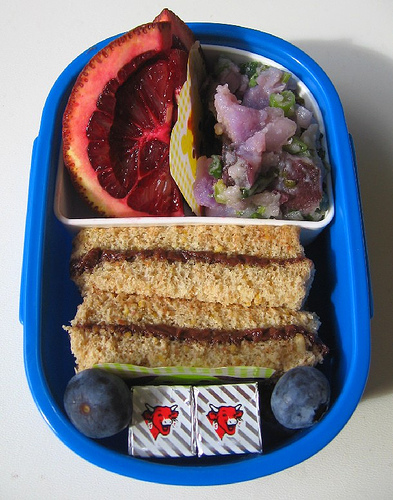 Frozen sandwich lunch for toddler