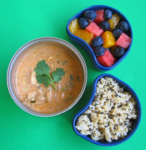 Indian curry lunch for preschooler