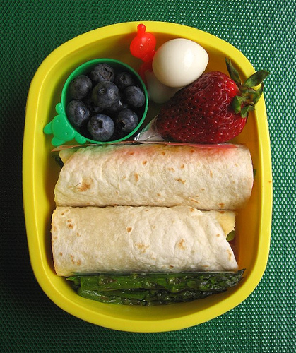 Lamb & hummus wrap lunch for toddler