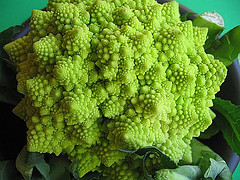 Romanesco