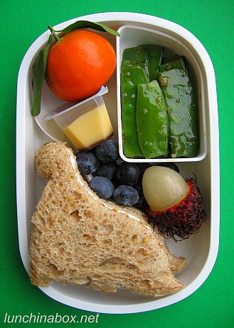 Dinosaur sandwich bento lunch for preschooler