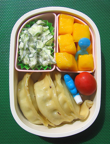 Potsticker lunch for toddler