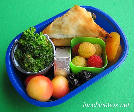Spanakopita & elephant rice ball bento lunches