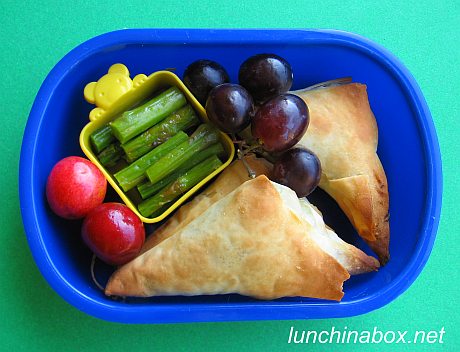 Spanakopita bento lunch for preschooler