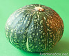 Kabocha squash